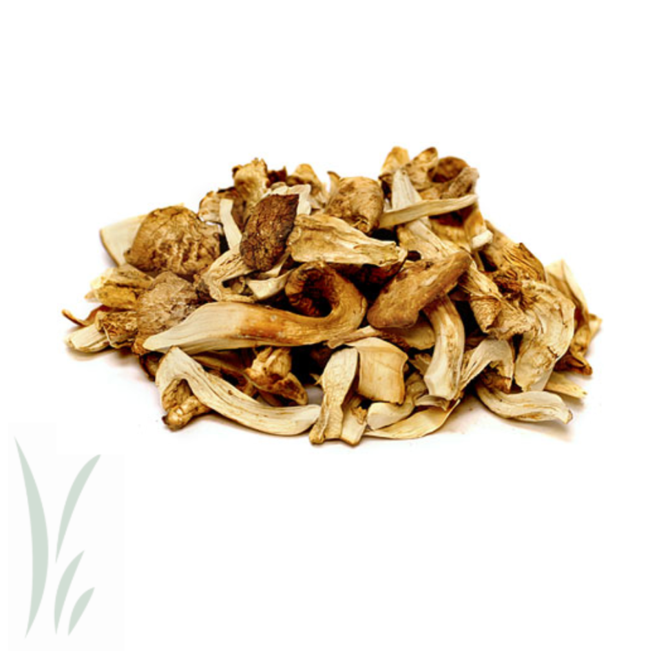 Mikuni Wild Harvest: Dried Wild Matsutake (Pine) Mushrooms / lb